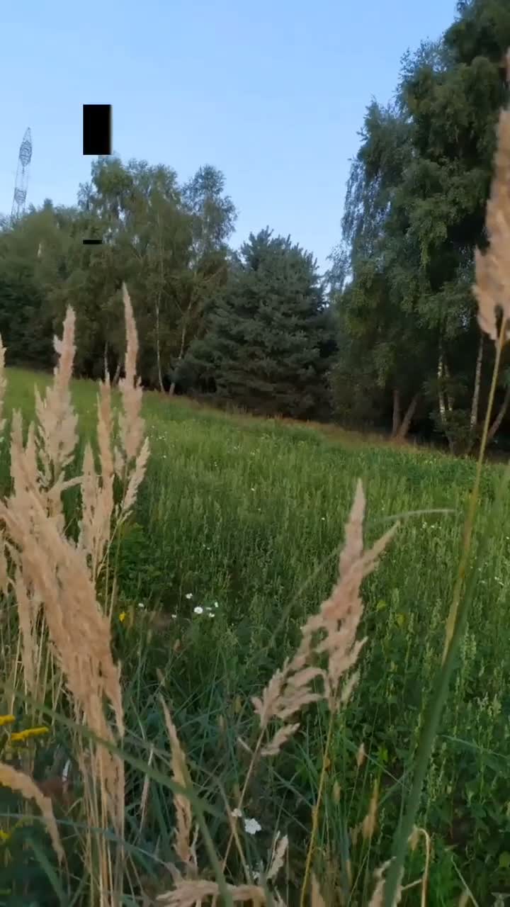 ig-fhfgia