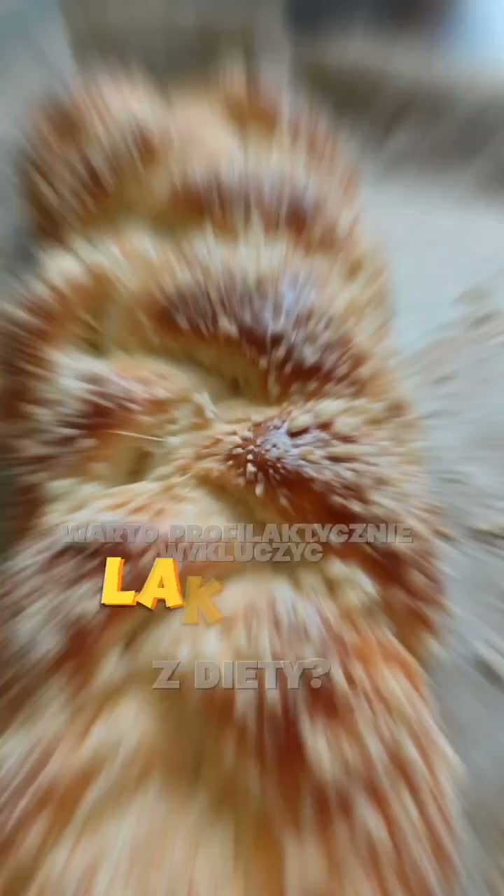 ig-ljipki