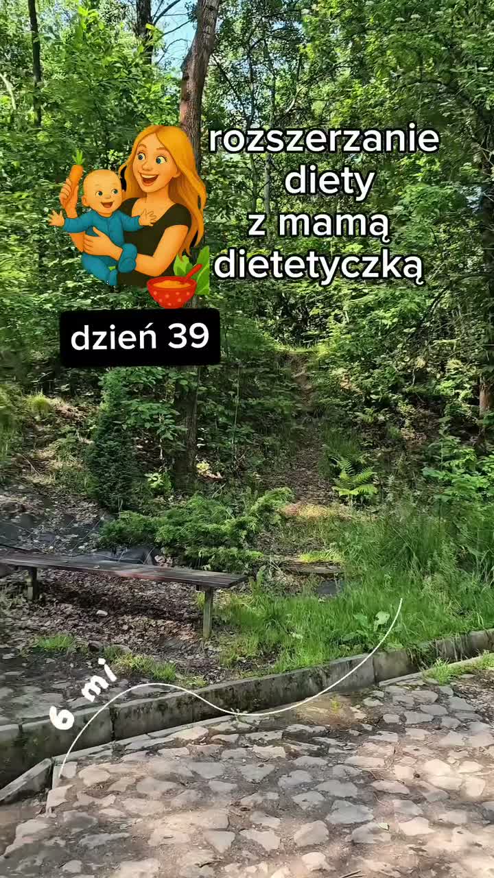 ig-nefceo